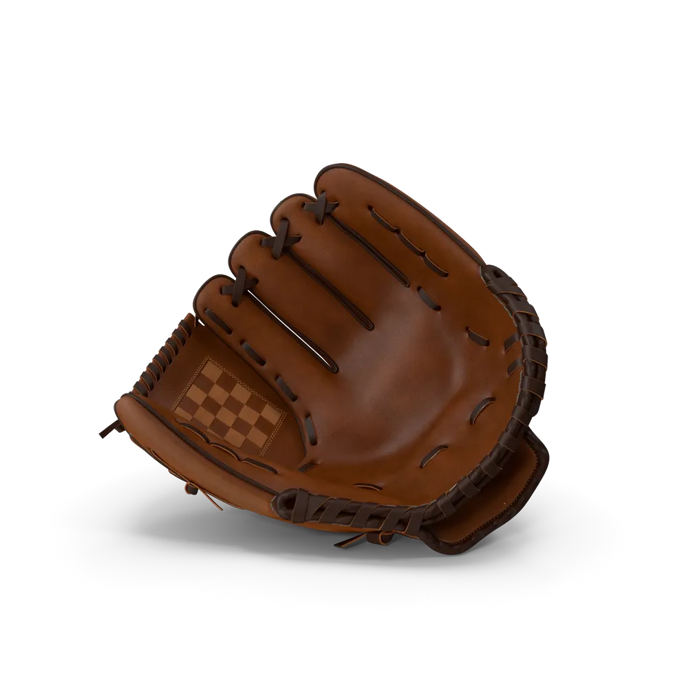 Baseball Glove view 2
