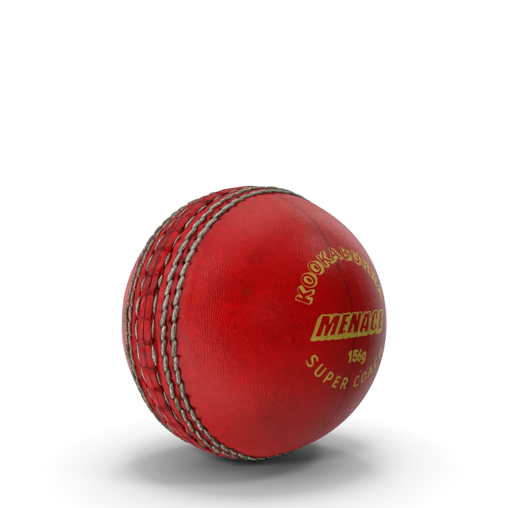Cricket Ball view 1