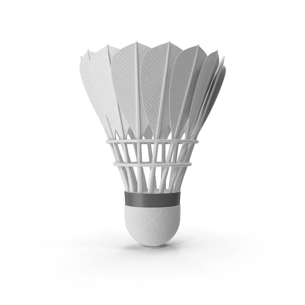 Feather Shuttlecock view 1