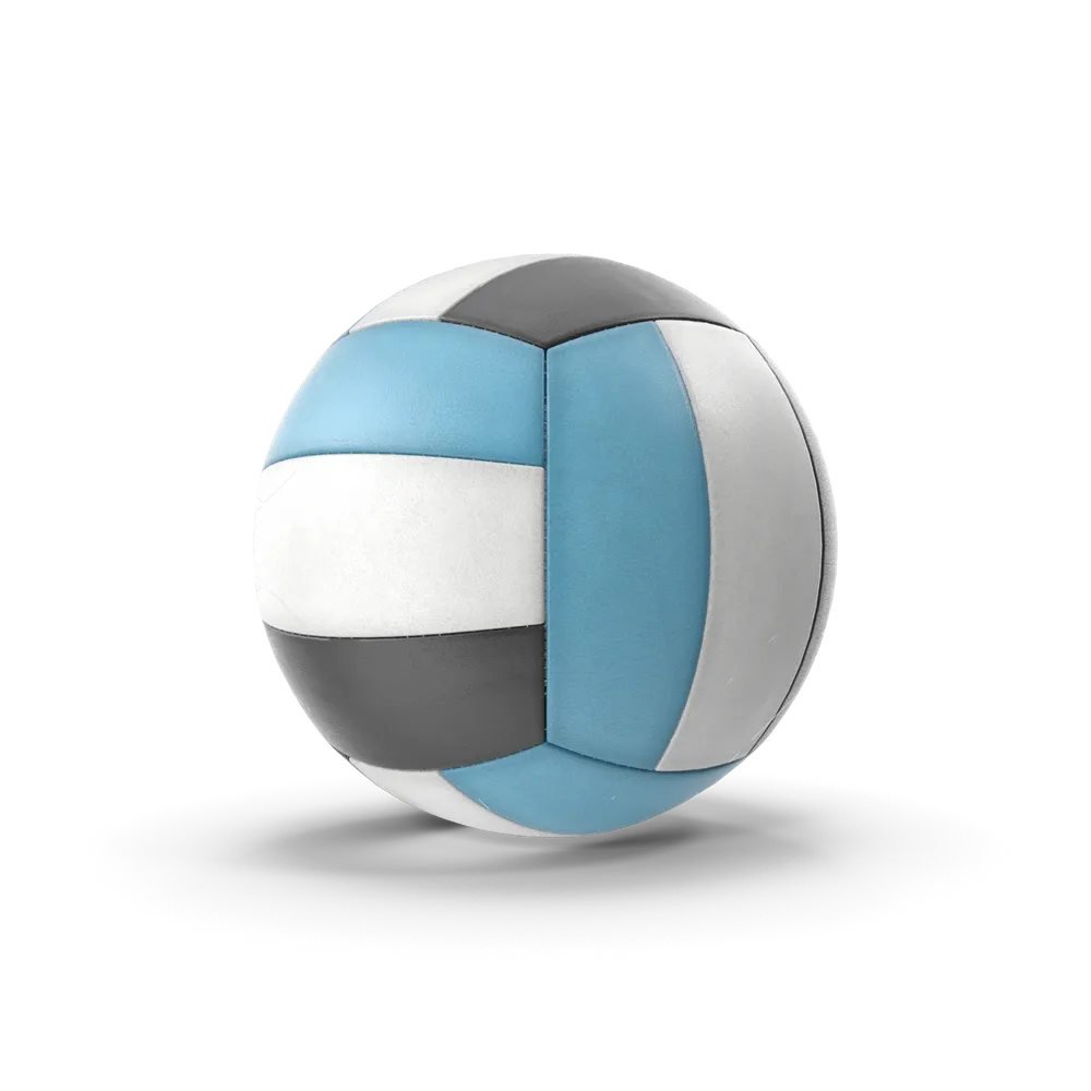 Volleyball view 1