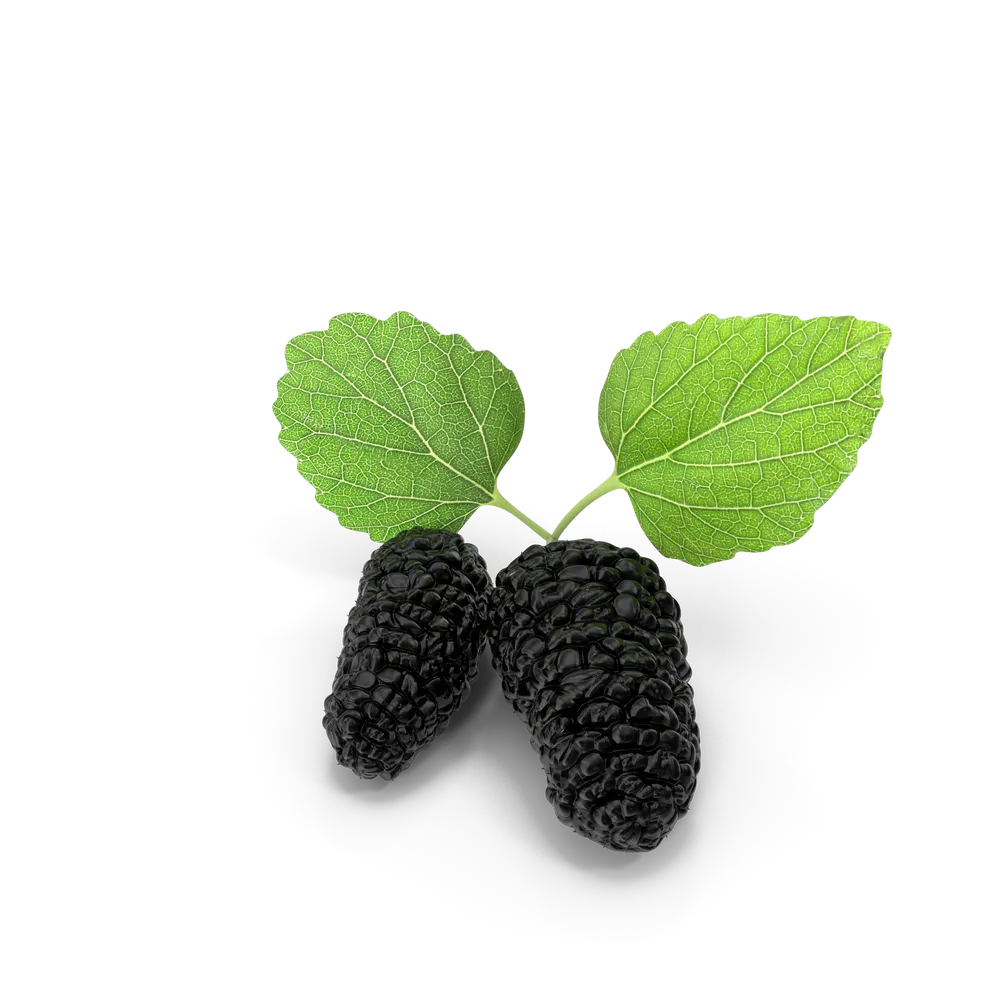 Mulberry view 1