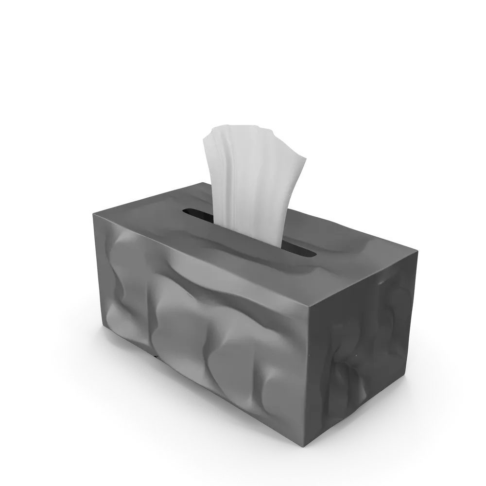 Tissue Paper Box view 2