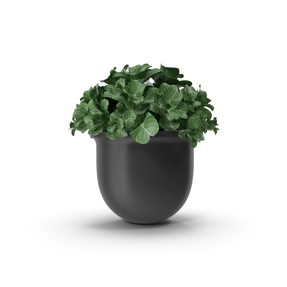 Plant Pot view 2